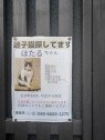 熟女の風俗最終章 高崎店