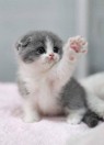 人妻ナビ（ナビゲーショングループ）