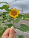 遊戯亭 90分1万円