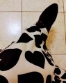 母ちゃんの秘密