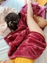 小山人妻城