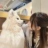 姫コレクション　宇都宮店