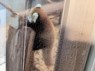 熟女の風俗最終章 高崎店