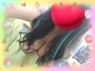 ひみつの宅配便