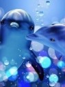 ミス・ミセス