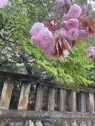 90分1万円半熟熟女の娯楽屋