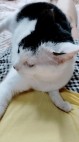 熟女の風俗最終章 高崎店