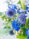 人妻洗体俱楽部