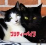 プリティーベイブ