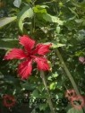 Belleve～ビリーヴ～