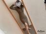 小山人妻隊